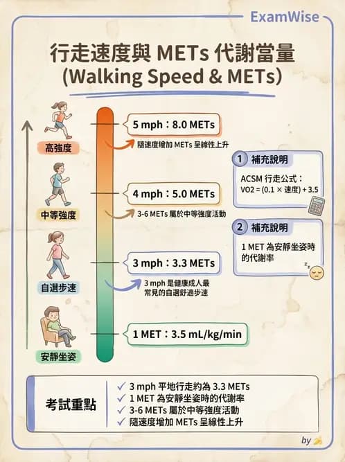 物治 - 運動生理學與能量代謝 - AI 圖文解析預覽