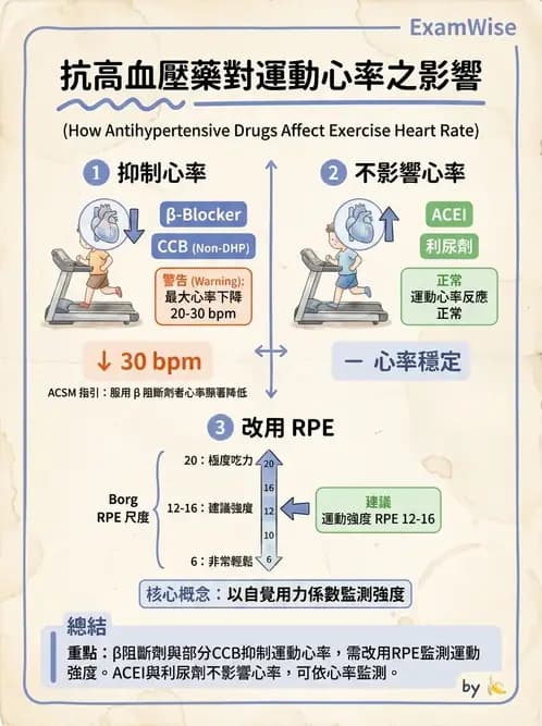 物治 - 心臟藥物、輔助裝置與周邊血管 - AI 圖文解析預覽
