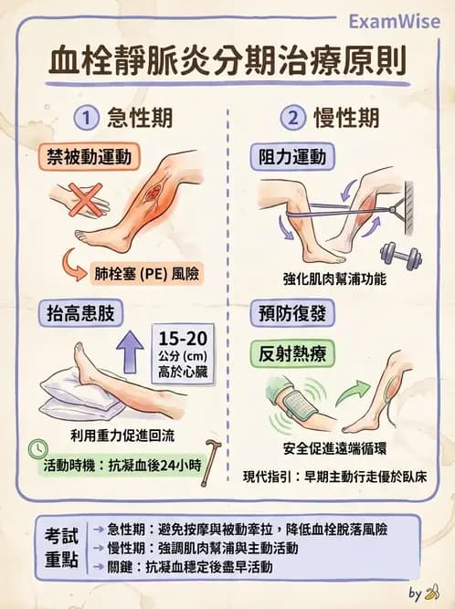 物治 - 心臟藥物、輔助裝置與周邊血管 - AI 圖文解析預覽