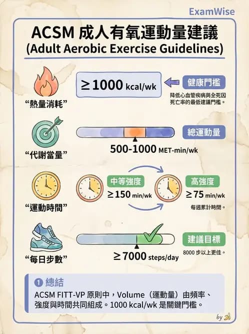 物治 - 運動篩檢與處方設計 - AI 圖文解析預覽