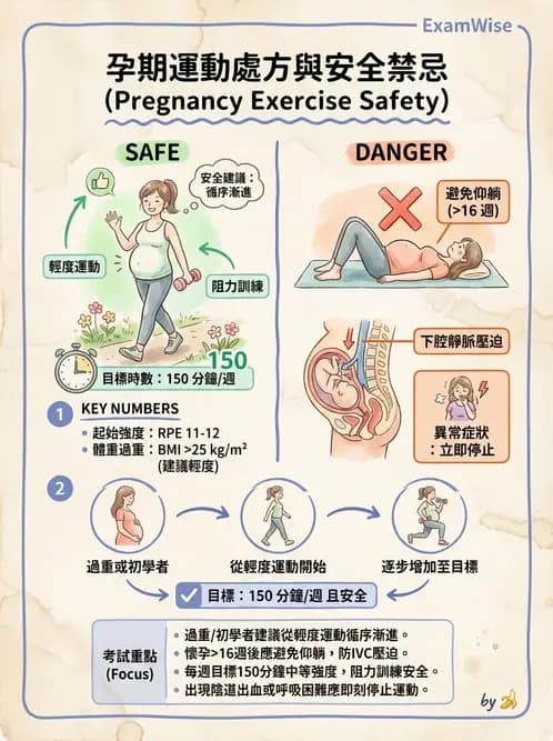 物治 - 特殊族群運動處方與健康促進 - AI 圖文解析預覽