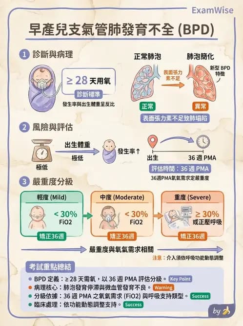 物治 - 小兒呼吸疾患與NICU物理治療 - AI 圖文解析預覽