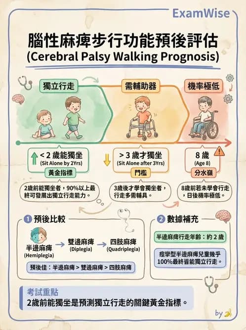 物治 - 腦性麻痺分類、評估與步態 - AI 圖文解析預覽