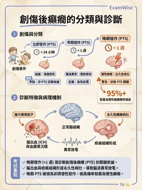 物治 - 脊柱裂、神經肌肉疾病與腦傷 - AI 圖文解析預覽