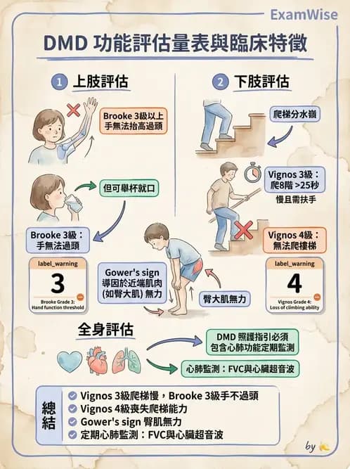 物治 - 脊柱裂、神經肌肉疾病與腦傷 - AI 圖文解析預覽