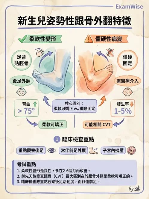 物治 - 小兒肌肉骨骼疾患物理治療 - AI 圖文解析預覽