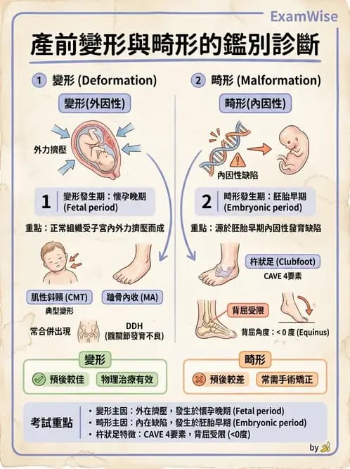 物治 - 小兒肌肉骨骼疾患物理治療 - AI 圖文解析預覽