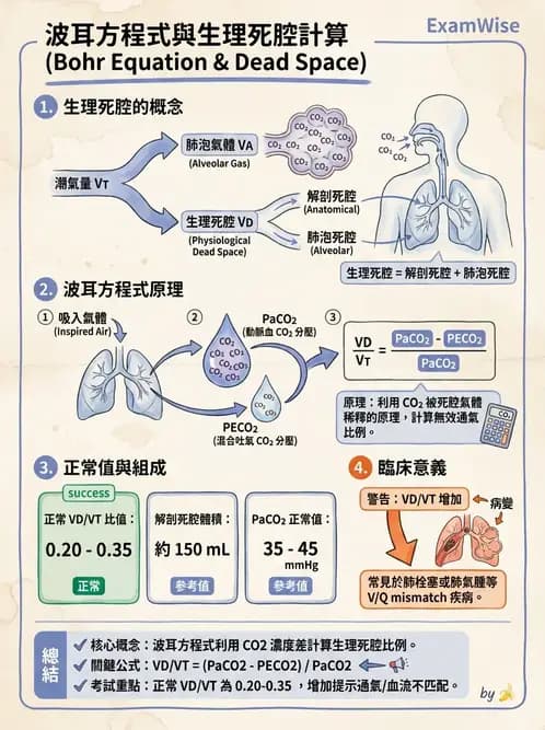 物治 - 呼吸生理 - AI 圖文解析預覽