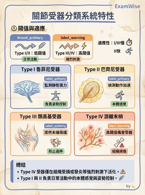 物治 - 肌肉力學與感覺運動控制 - AI 圖文解析預覽