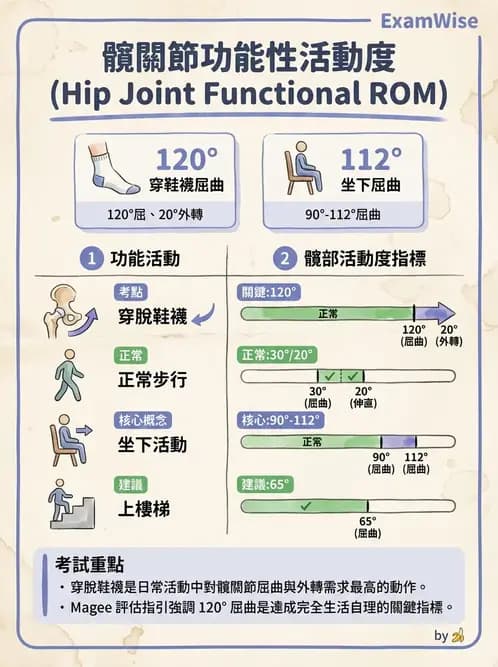 物治 - 髖關節肌動學與生物力學 - AI 圖文解析預覽