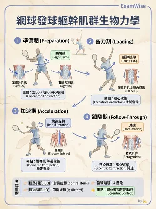 物治 - 競技運動與肌力訓練動作分析 - AI 圖文解析預覽