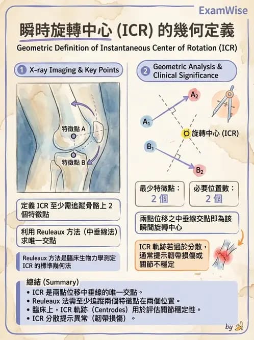 物治 - 關節運動學與生物力學計算 - AI 圖文解析預覽