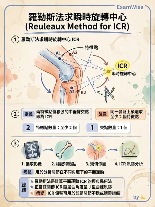 物治 - 關節運動學與生物力學計算 - AI 圖文解析預覽