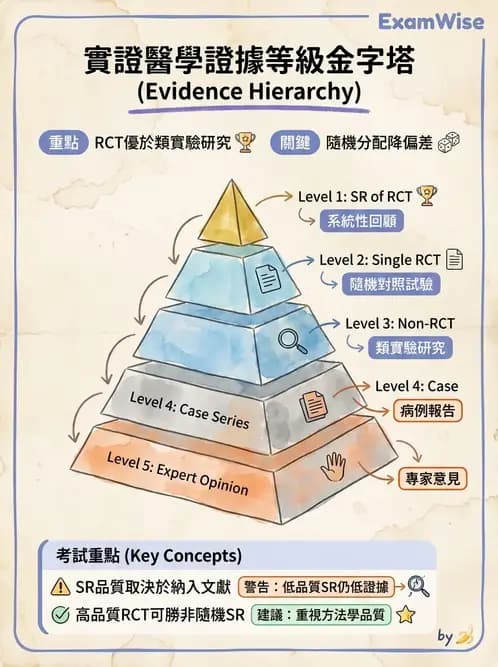 物治 - 實證概念與發展 - AI 圖文解析預覽