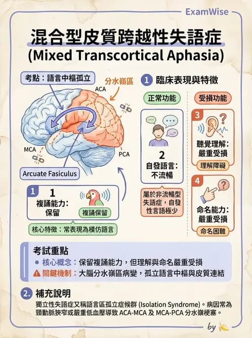 物治 - 腦血管疾病與腦外傷 - AI 圖文解析預覽