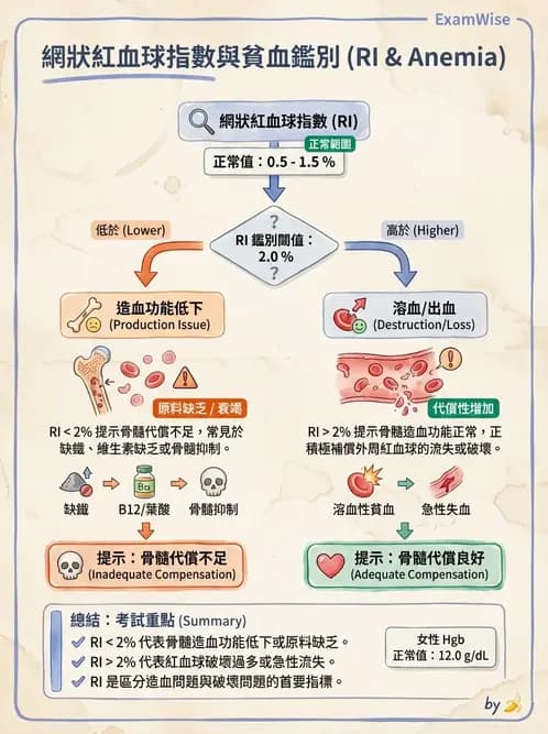 物治 - 內科疾病概論 - AI 圖文解析預覽