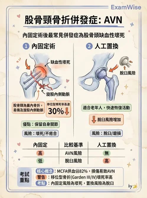 物治 - 骨科與外科疾病 - AI 圖文解析預覽