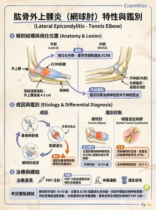 物治 - 骨科與外科疾病 - AI 圖文解析預覽