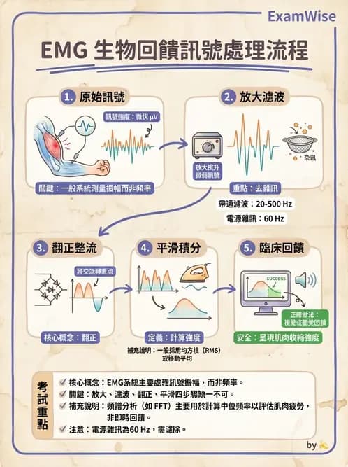 物治 - 肌電生物回饋 - AI 圖文解析預覽