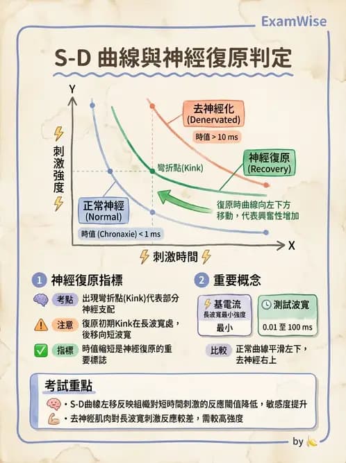 物治 - 電生理診斷 - AI 圖文解析預覽