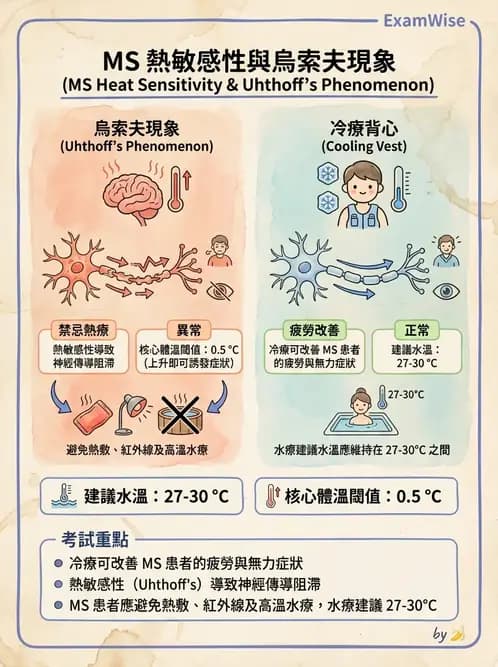 物治 - 溫度療法 - AI 圖文解析預覽