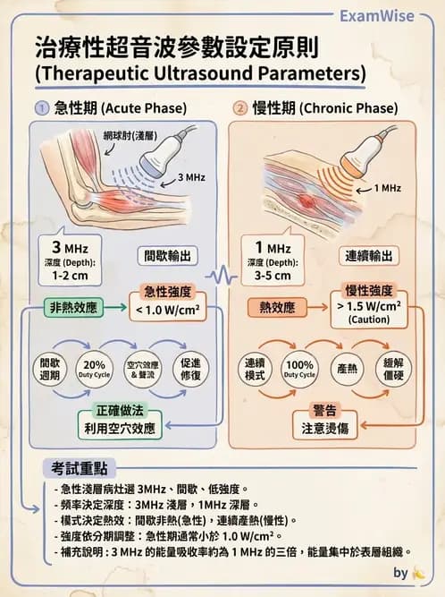 物治 - 超音波 - AI 圖文解析預覽