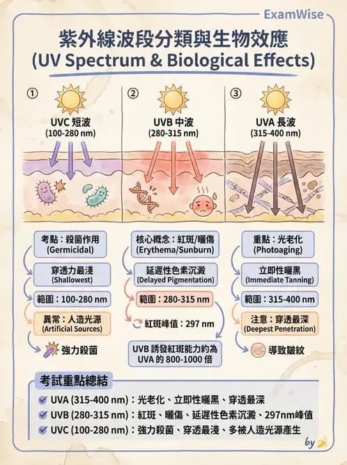 物治 - 紫外光 - AI 圖文解析預覽