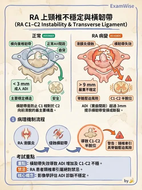 物治 - 力學因子 - AI 圖文解析預覽
