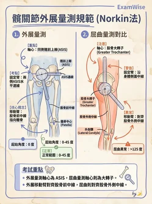 物治 - 下肢與脊椎關節活動度 - AI 圖文解析預覽