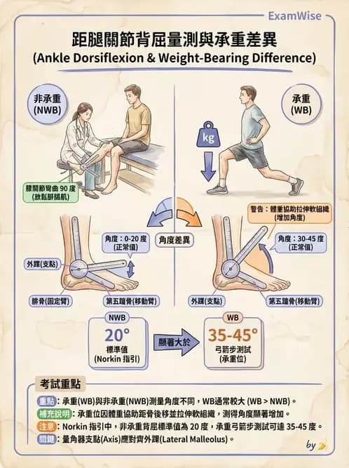 物治 - 下肢與脊椎關節活動度 - AI 圖文解析預覽