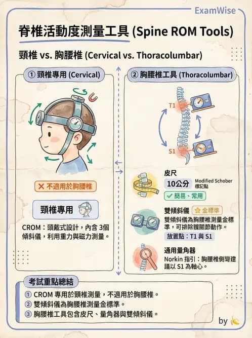 物治 - 下肢與脊椎關節活動度 - AI 圖文解析預覽