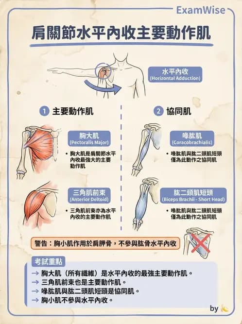 物治 - 上肢徒手肌力測試 - AI 圖文解析預覽