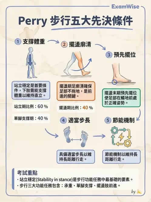 物治 - 行走評估與訓練 - AI 圖文解析預覽