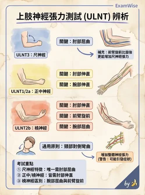 物治 - 神經鬆動術 - AI 圖文解析預覽