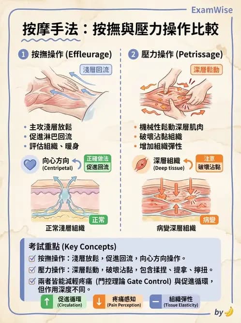 物治 - 瑞典式按摩與運動按摩 - AI 圖文解析預覽