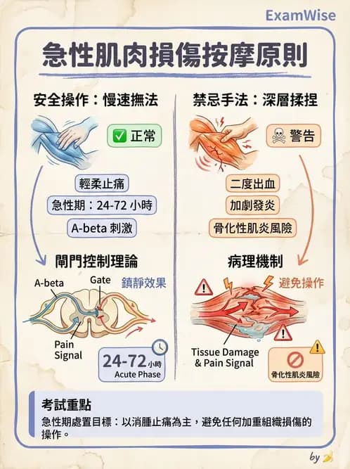 物治 - 瑞典式按摩與運動按摩 - AI 圖文解析預覽