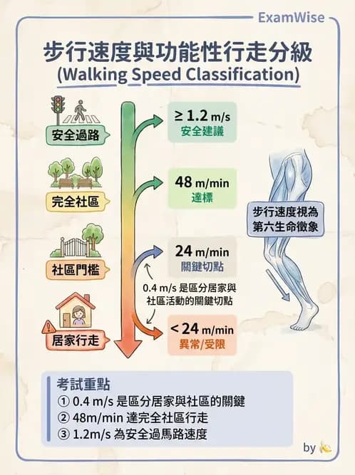物治 - 功能評估與再教育 - AI 圖文解析預覽