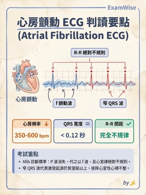 醫檢師 - 心律不整判讀 - AI 圖文解析預覽