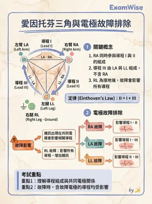 醫檢師 - 心電圖基礎與判讀 - AI 圖文解析預覽