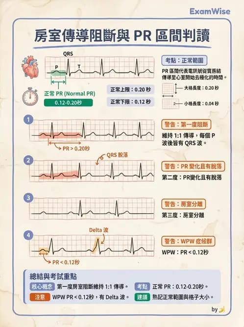 醫檢師 - 心律不整判讀 - AI 圖文解析預覽