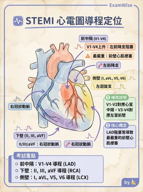 醫檢師 - 心肌病變與特殊心電圖 - AI 圖文解析預覽