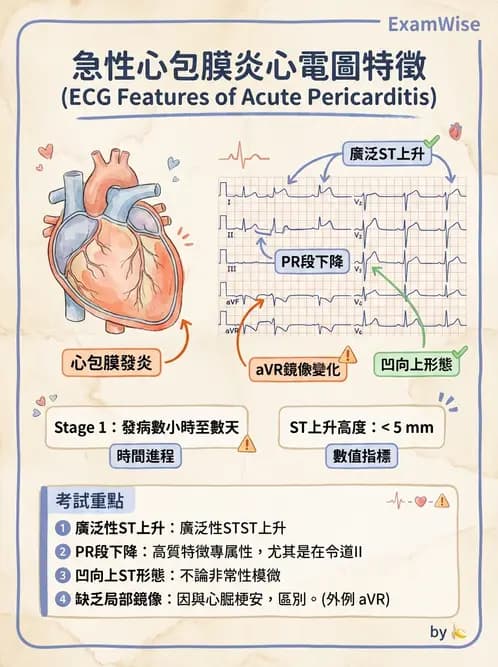 醫檢師 - 心肌病變與特殊心電圖 - AI 圖文解析預覽