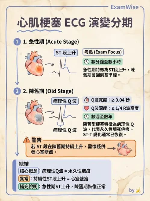 醫檢師 - 心肌病變與特殊心電圖 - AI 圖文解析預覽