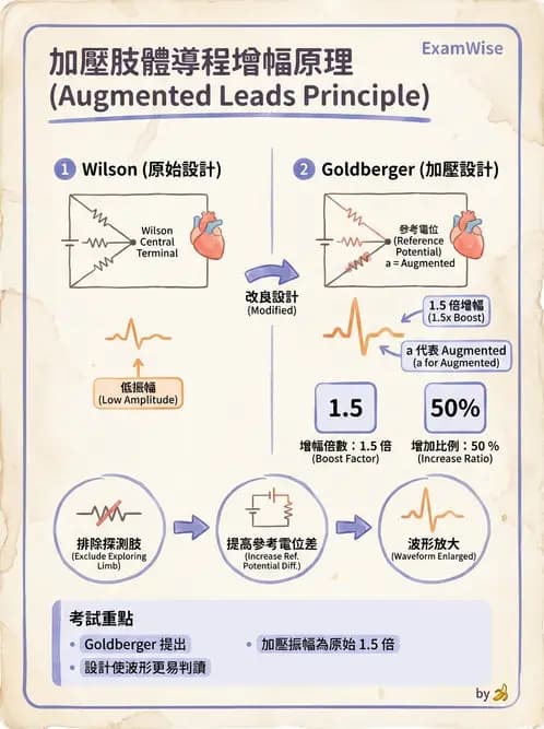醫檢師 - 心電圖基礎與判讀 - AI 圖文解析預覽