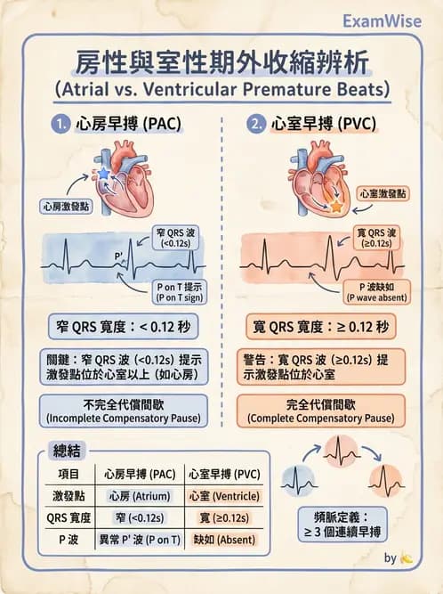 醫檢師 - 心律不整判讀 - AI 圖文解析預覽