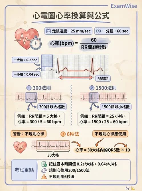 醫檢師 - 心電圖基礎與判讀 - AI 圖文解析預覽