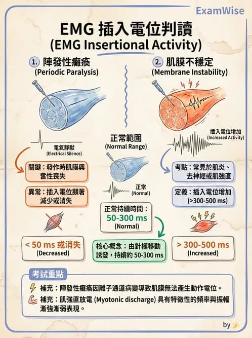醫檢師 - 神經肌肉與睡眠檢查 - AI 圖文解析預覽