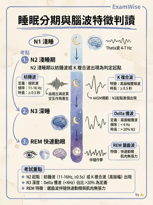 醫檢師 - 腦電圖檢查 - AI 圖文解析預覽