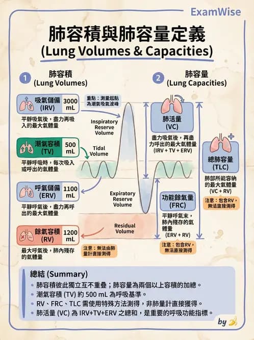 醫檢師 - 肺功能基礎與指標 - AI 圖文解析預覽