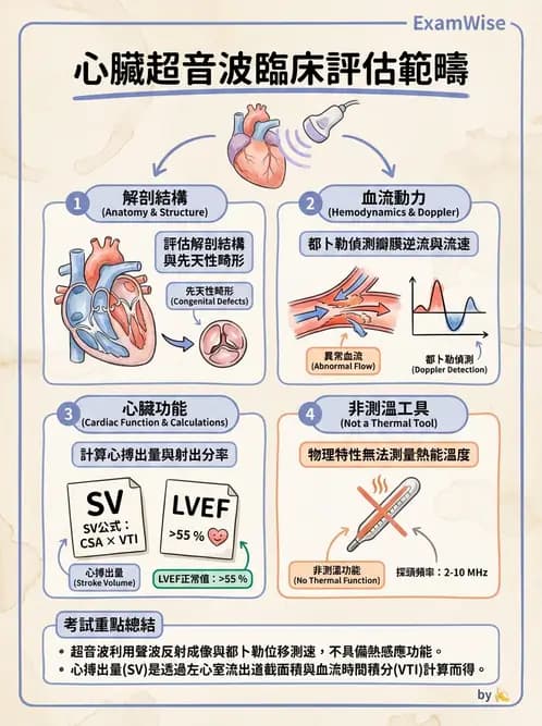 醫檢師 - 超音波檢查 - AI 圖文解析預覽